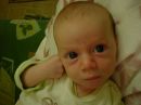 Dateiname : 180.JPG
Dateigröße : 42KB
Abmessungen : 640x481
hinzugefügt am : 01.November 2009 180.JPG